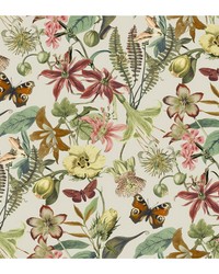 KRAVET DESIGN W4133 712 W4133-712 by   