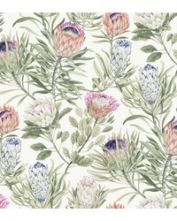 KRAVET DESIGN W4136 710 W4136-710 by   