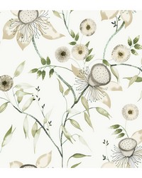 KRAVET DESIGN W4140 31 W4140-31 by   