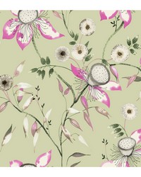 KRAVET DESIGN W4140 317 W4140-317 by   