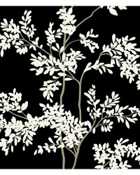 KRAVET DESIGN W4141 81 W4141-81 by   