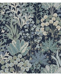 KRAVET DESIGN W4142 50 W4142-50 by   