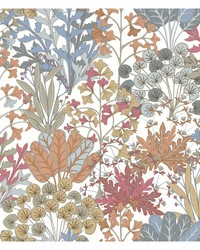 KRAVET DESIGN W4142 517 W4142-517 by   