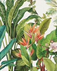 KRAVET DESIGN W4181 312 by  Ralph Lauren 