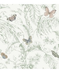 KRAVET DESIGN W4234 73 by  Carey Lind 