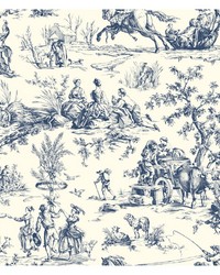 KRAVET DESIGN W4237 50 by  Carey Lind 