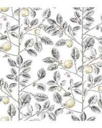 KRAVET DESIGN W4241 21 by  York Wallcovering 
