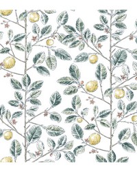 KRAVET DESIGN W4241 354 by  York Wallcovering 