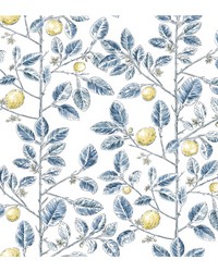 KRAVET DESIGN W4241 540 by  York Wallcovering 