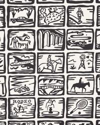 ARIZONA SKETCHBOOK WP W4257 121 COAL by   