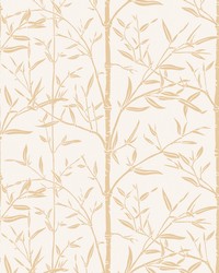 BAMBOO WP W4258 16 SAND by   