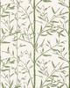 Kravet Wallcovering BAMBOO WP CACTUS