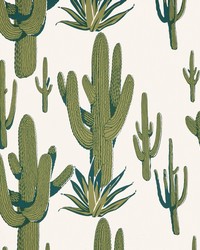 CACTI LAND WP W4260 23 AGAVE by   