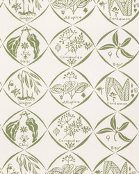 SPICES WP W4262 30 CACTUS by   