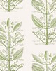 Kravet Wallcovering SUGAR AND SPICE WP CACTUS