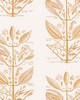 Kravet Wallcovering SUGAR AND SPICE WP GOLD