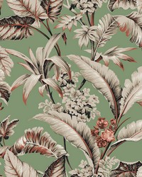 Kravet Design Wallpaper W4272-312 by   