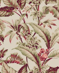 Kravet Design Wallpaper W4272-319 by   