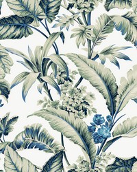 Kravet Design Wallpaper W4272-530 by   