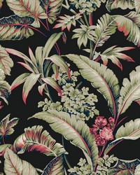 Kravet Design Wallpaper W4272-819 by   