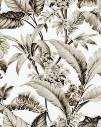 Kravet Design Wallpaper W4272-86 by   