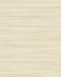 Kravet Design Wallpaper W4280-116 by  Highland Court 