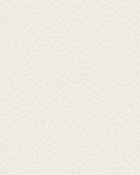 Kravet Design Wallpaper W4281-101 by   