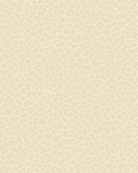 Kravet Design Wallpaper W4281-116 by   