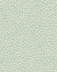 Kravet Design Wallpaper W4281-23 by   