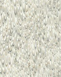 Kravet Design Wallpaper W4282-1611 by   