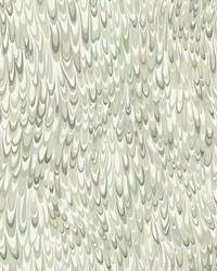 Kravet Design Wallpaper W4282-311 by   