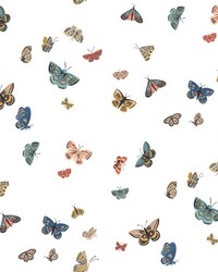 KRAVET DESIGN W4289 51 W4289 by  Mirage 