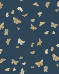 KRAVET DESIGN W4289 516 W4289-516 by  Mirage 