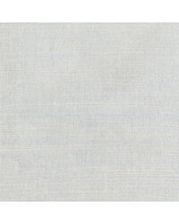 RAFFIA WP W4356 1 by   