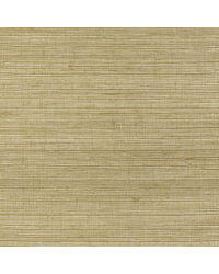 RAFFIA WP W4356 12 by   