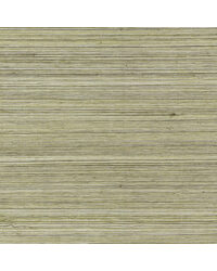 RAFFIA WP W4356 61 by   