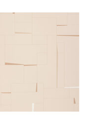 COUNTERCULTURE W4397 166 SHELL by   