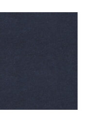 REPOSE WAC1220 WT NAVY by  Winfield Thybony Design 