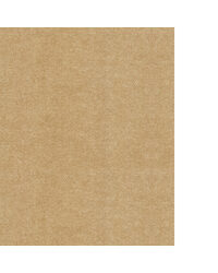 SILHOUETTE WAC1241 WT CURRY by  Winfield Thybony Design 