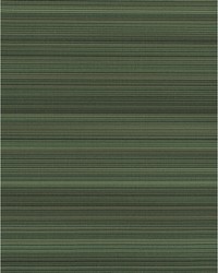 STINSON WDW2124 WT EDEN by   