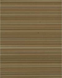 STINSON WDW2125 WT EARTH by   