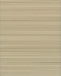 STINSON WDW2130 WT BUFF by   