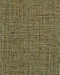 SONOMA WDW2143 WT EARTH by   