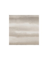 Shoreline WDW2177 WT Noah by   