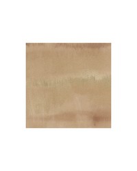 Shoreline WDW2180 WT Epic by   