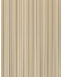 Bengal WDW2191 WT Dove by  Bailey and Griffin 