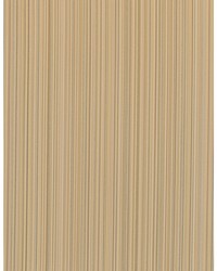 Bengal WDW2211 WT Buttercup by  Bailey and Griffin 