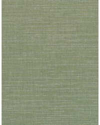 Tannin WDW2242 WT Stingray by  Bailey and Griffin 