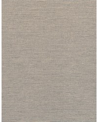 Sinclair WDW2263 WT Bonds Wings by  Bailey and Griffin 