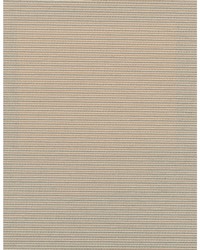 Elza WDW2337 WT Crepe by  Bailey and Griffin 